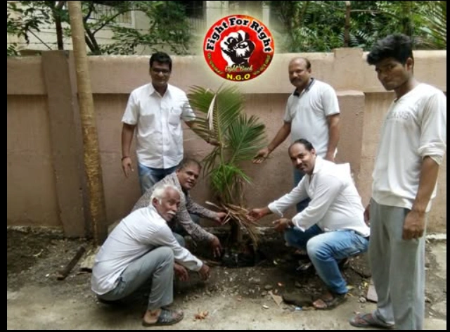 Tree Plantation